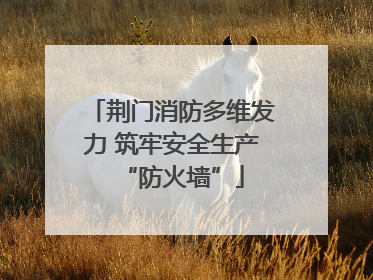 荆门消防多维发力 筑牢安全生产“防火墙”