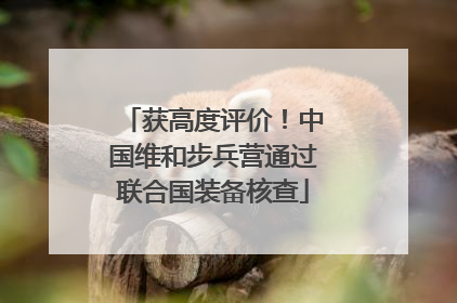 获高度评价！中国维和步兵营通过联合国装备核查