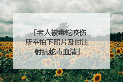 老人被毒蛇咬伤 所幸拍下照片及时注射抗蛇毒血清