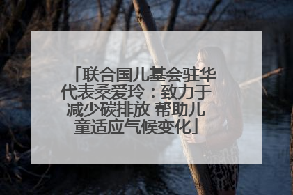 联合国儿基会驻华代表桑爱玲：致力于减少碳排放 帮助儿童适应气候变化