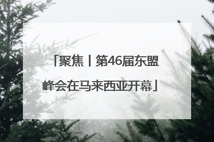 聚焦丨第46届东盟峰会在马来西亚开幕