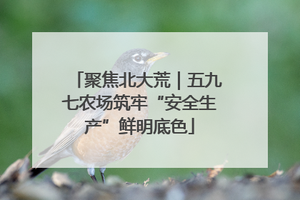 聚焦北大荒｜五九七农场筑牢“安全生产”鲜明底色