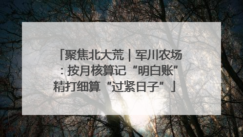 聚焦北大荒｜军川农场：按月核算记“明白账”精打细算“过紧日子”