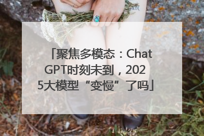 聚焦多模态：ChatGPT时刻未到，2025大模型“变慢”了吗