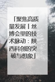 聚焦高质量发展丨丝博会里的技术脉动：陕西科创的突破与想象