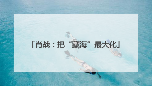 肖战：把“藏海”最大化