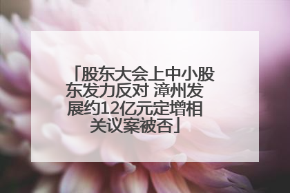 股东大会上中小股东发力反对 漳州发展约12亿元定增相关议案被否