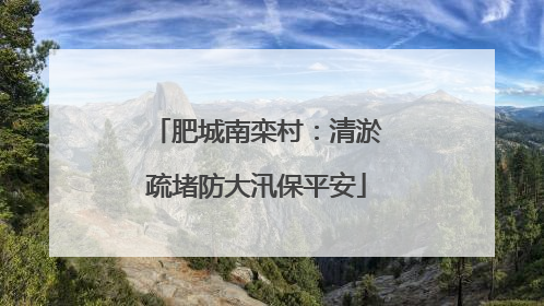 肥城南栾村：清淤疏堵防大汛保平安