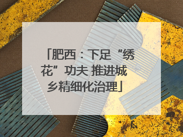 肥西：下足“绣花”功夫 推进城乡精细化治理