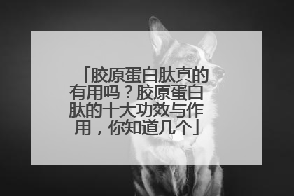 胶原蛋白肽真的有用吗？胶原蛋白肽的十大功效与作用，你知道几个