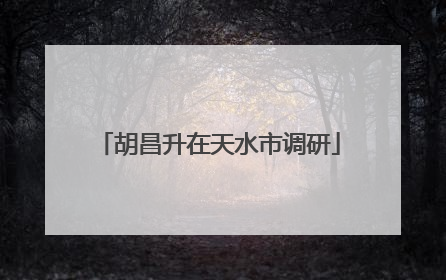 胡昌升在天水市调研