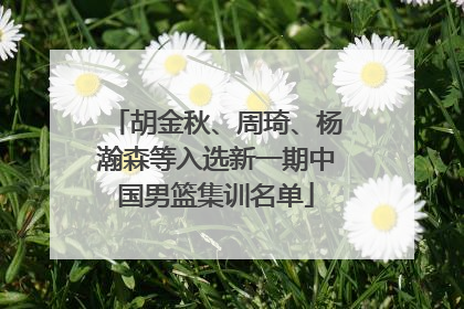 胡金秋、周琦、杨瀚森等入选新一期中国男篮集训名单