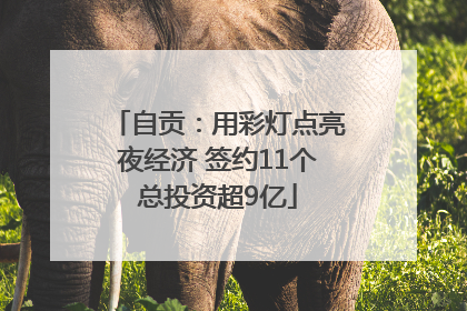 自贡：用彩灯点亮夜经济 签约11个总投资超9亿