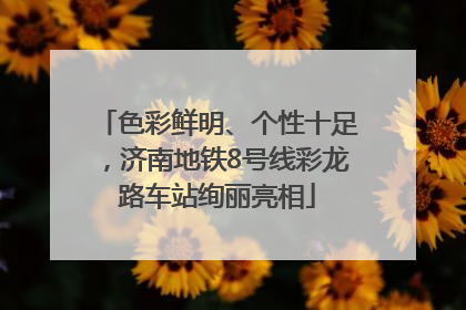 色彩鲜明、个性十足，济南地铁8号线彩龙路车站绚丽亮相