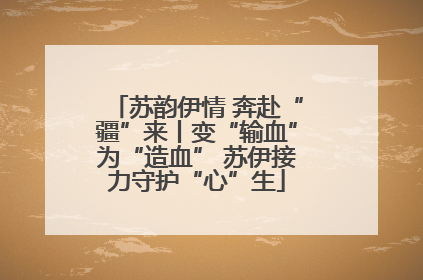 苏韵伊情 奔赴“疆”来丨变“输血”为“造血” 苏伊接力守护“心”生