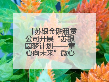 苏银金融租赁公司开展“苏银圆梦计划——童心向未来”微心愿捐赠活动