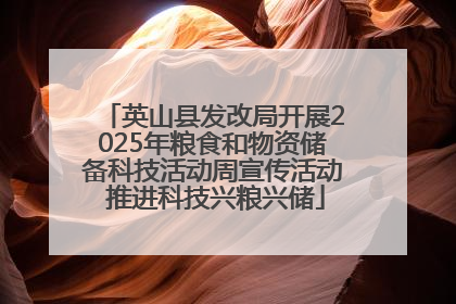 英山县发改局开展2025年粮食和物资储备科技活动周宣传活动 推进科技兴粮兴储