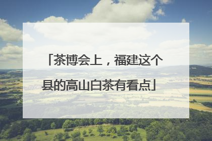 茶博会上，福建这个县的高山白茶有看点