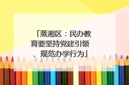 蒸湘区：民办教育要坚持党建引领、规范办学行为