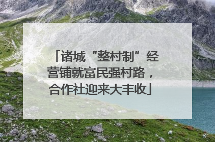 诸城“整村制”经营铺就富民强村路，合作社迎来大丰收