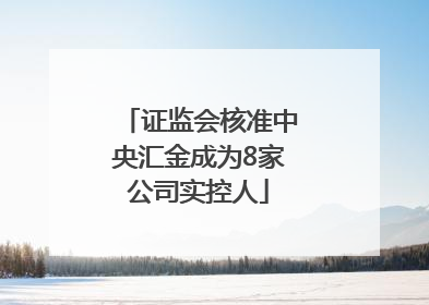 证监会核准中央汇金成为8家公司实控人