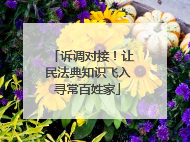 诉调对接！让民法典知识飞入寻常百姓家