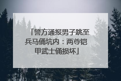 警方通报男子跳至兵马俑坑内：两尊铠甲武士俑损坏