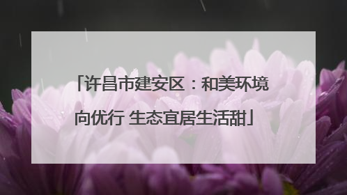 许昌市建安区：和美环境向优行 生态宜居生活甜