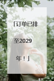 订单已排至2029年！