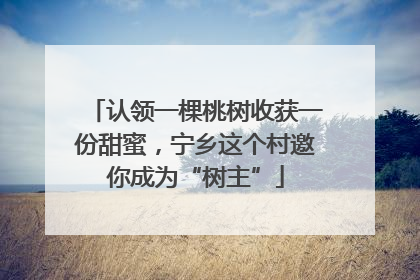 认领一棵桃树收获一份甜蜜，宁乡这个村邀你成为“树主”