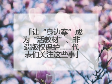 让“身边案”成为“活教材”、非遗版权保护……代表们关注这些事