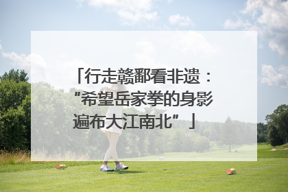 行走赣鄱看非遗：“希望岳家拳的身影遍布大江南北”