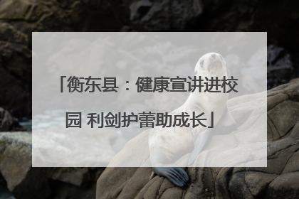 衡东县：健康宣讲进校园 利剑护蕾助成长