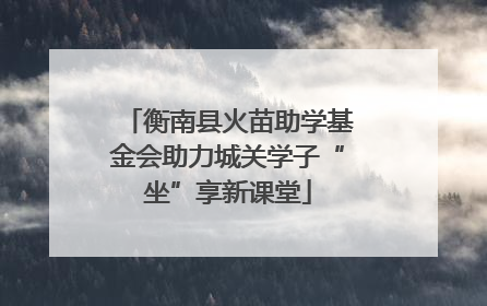 衡南县火苗助学基金会助力城关学子“坐”享新课堂