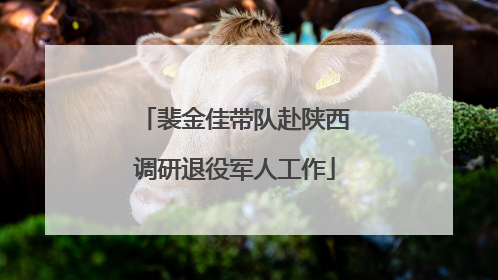 裴金佳带队赴陕西调研退役军人工作