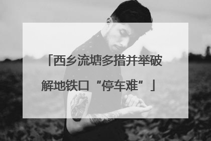 西乡流塘多措并举破解地铁口“停车难”