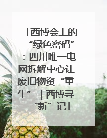 西博会上的“绿色密码”：四川唯一电网拆解中心让废旧物资“重生”｜西博寻“新”记