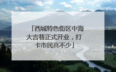 西城特色街区中海大吉巷正式开业，打卡市民真不少
