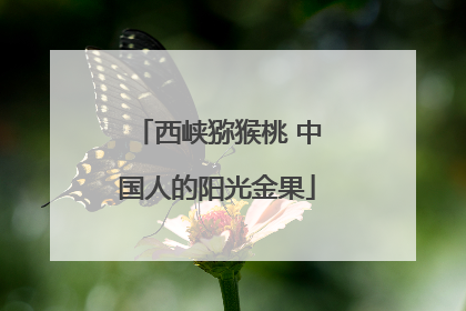西峡猕猴桃 中国人的阳光金果