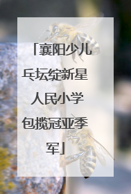 襄阳少儿乓坛绽新星 人民小学包揽冠亚季军