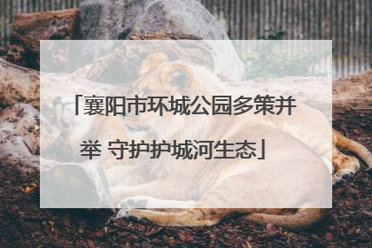 襄阳市环城公园多策并举 守护护城河生态