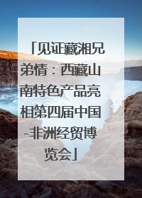 见证藏湘兄弟情：西藏山南特色产品亮相第四届中国-非洲经贸博览会