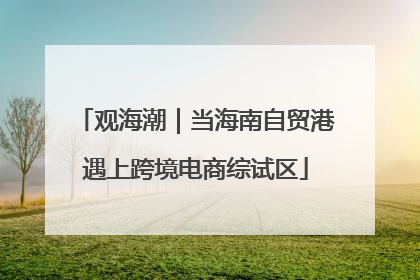 观海潮｜当海南自贸港遇上跨境电商综试区