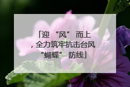 迎 “风” 而上，全力筑牢抗击台风 “蝴蝶” 防线