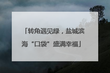 转角遇见绿，盐城滨海“口袋”盛满幸福