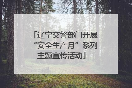 辽宁交警部门开展“安全生产月”系列主题宣传活动