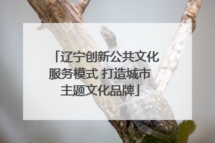 辽宁创新公共文化服务模式 打造城市主题文化品牌