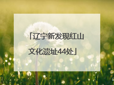 辽宁新发现红山文化遗址44处