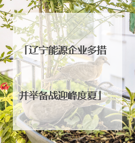 辽宁能源企业多措并举备战迎峰度夏