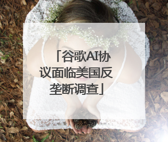 谷歌AI协议面临美国反垄断调查